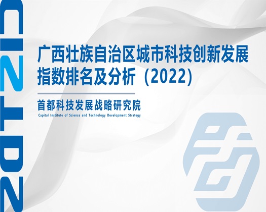 啊啊啊大鸡巴操骚逼【成果发布】广西壮族自治区城市科技创新发展指数排名及分析（2022）